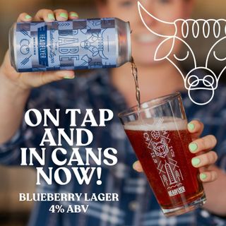 Babe the Blueberry Lager - Available Now