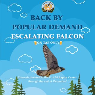 Escalating Falcon - Hazy IPA - Back on Tap