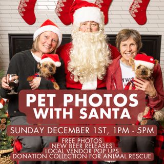 Santa Dog Photos - Sunday, December 1st, 2024