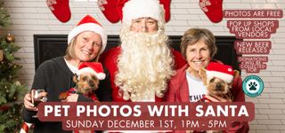 Santa Dog Photos - Sunday, December 1st, 2024